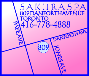 11 MP300 MapSakura.png