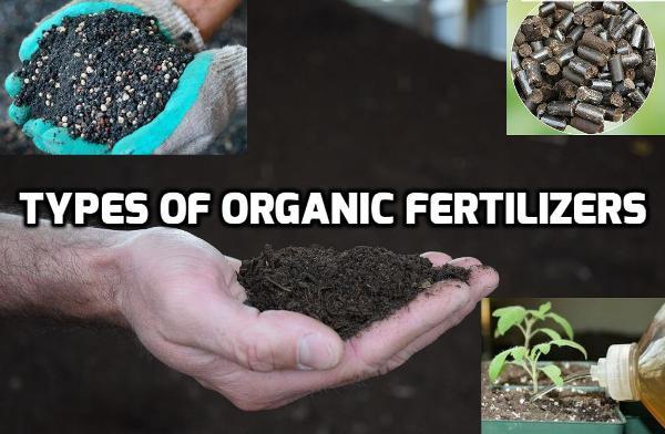 www.agrifarming.in